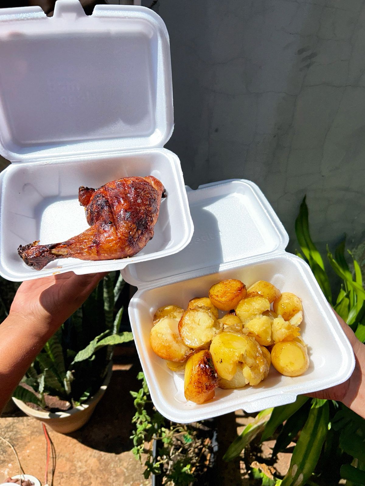 Coxa com Sobrecoxa + Batata + Farofa